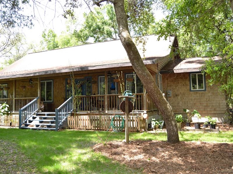 Rustic Cabin Style Home On 9.4 Acre : Brooksville : Hernando County : Florida