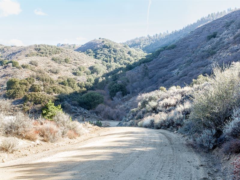 Remote Tehachapi Mountain Land Lot for Sale by Owner in Tehachapi