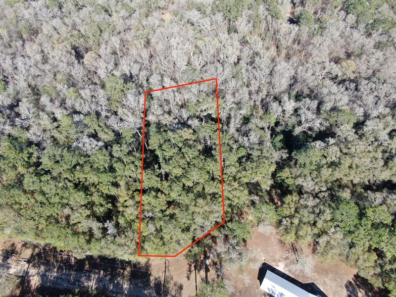 Beautiful Lot Bordering Renowned MA : Lee : Madison County : Florida