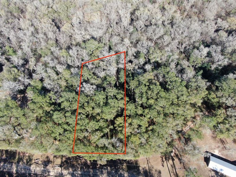 Beautiful Lot Bordering Renowned MA : Lee : Madison County : Florida
