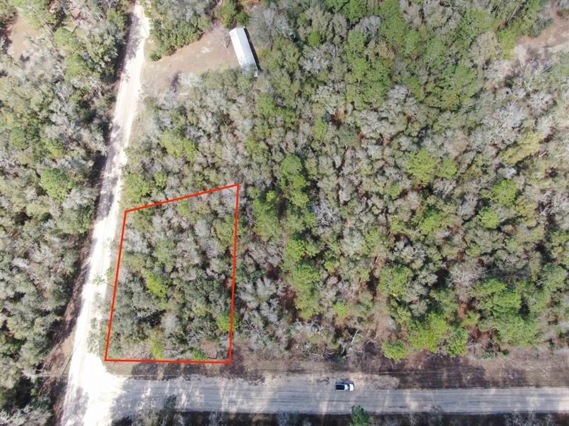 Vacant NE Blue Springs Church Road : Lee : Madison County : Florida
