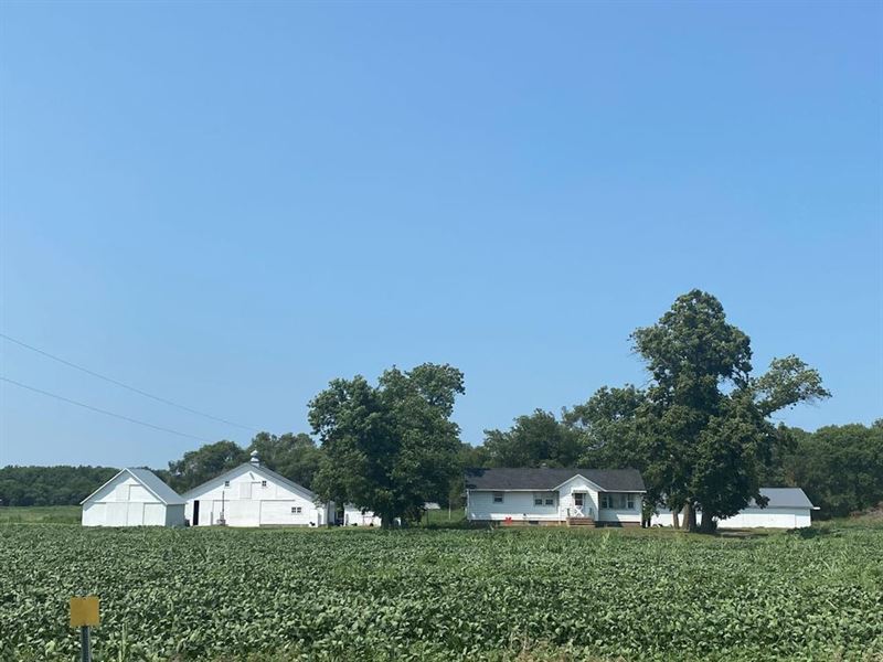 Acreage for Sale, 54785 841 Road : Battle Creek : Madison County : Nebraska