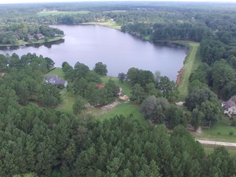 Come To The Big Woods : Ochlo : Thomas County : Georgia