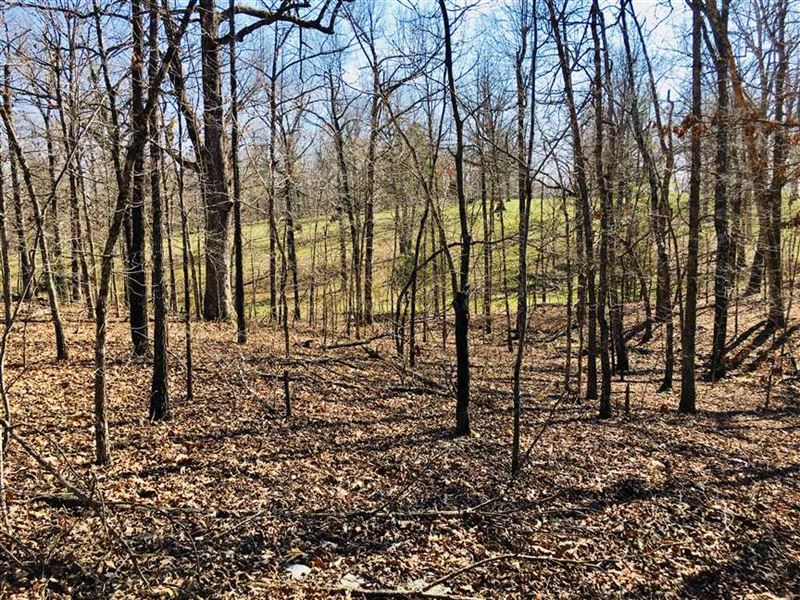 Wooded Country Building Site or Re : Wirth : Sharp County : Arkansas
