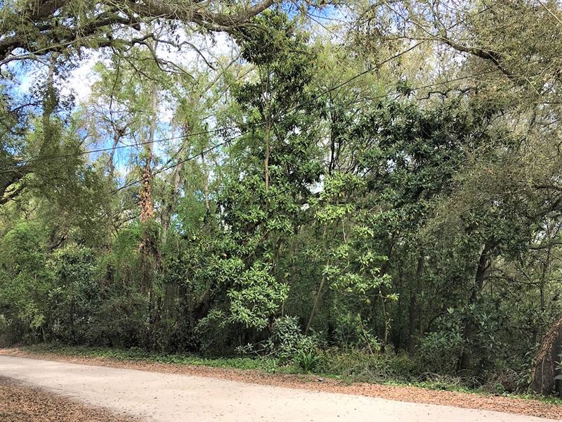 Mobile Home Lot for Cheap : Dade City : Pasco County : Florida