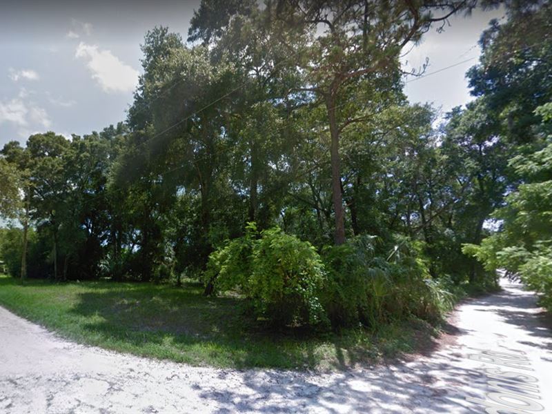 Big Mobile Home Lot - Can Subdivide : New Port Richey : Pasco County : Florida
