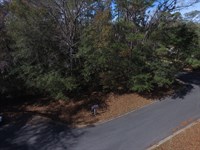 Land for Medical Development, Cp : Tallahassee : Leon County : Florida