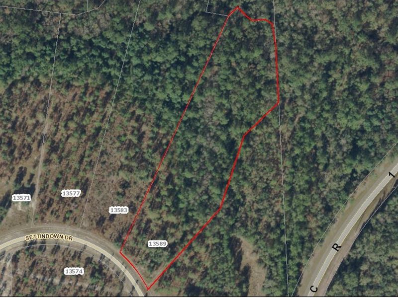 Lot 23- Deep Creek Plantation : Bryceville : Nassau County : Florida
