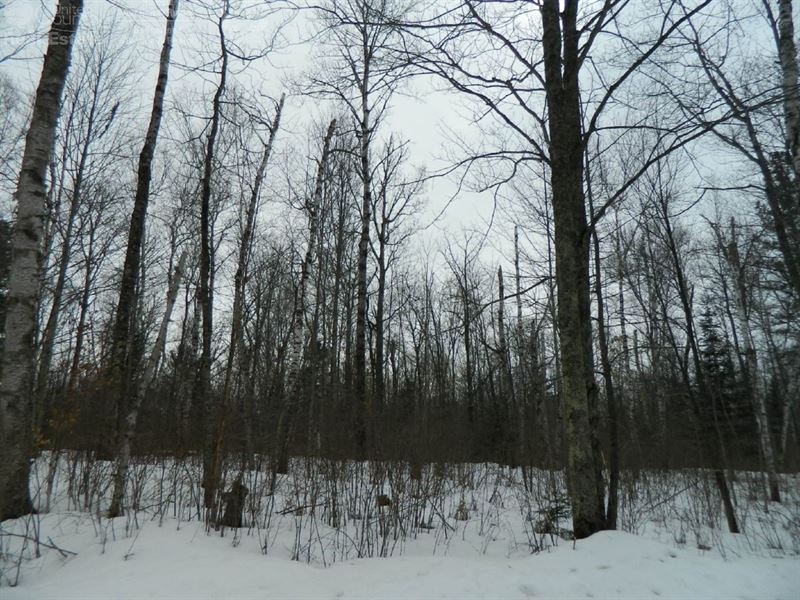 Buildable Lakefront Property : Exeland : Sawyer County : Wisconsin