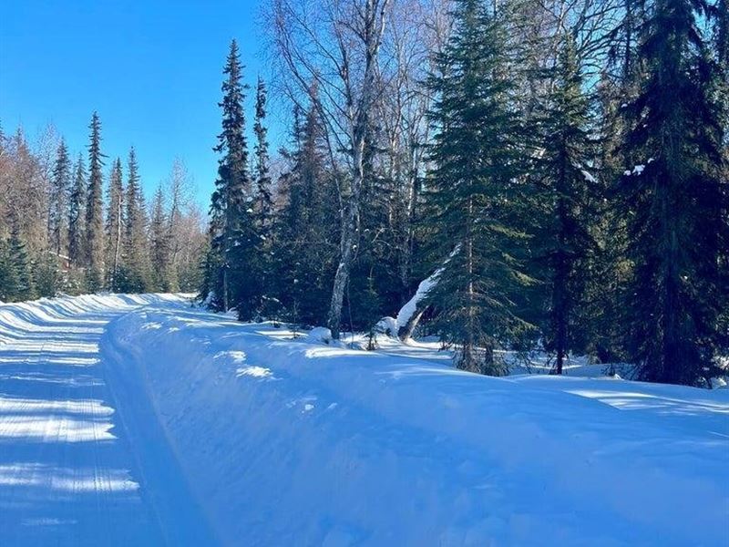 Large Residential Building Lot 2.26 : Soldotna : Kenai Peninsula Borough : Alaska