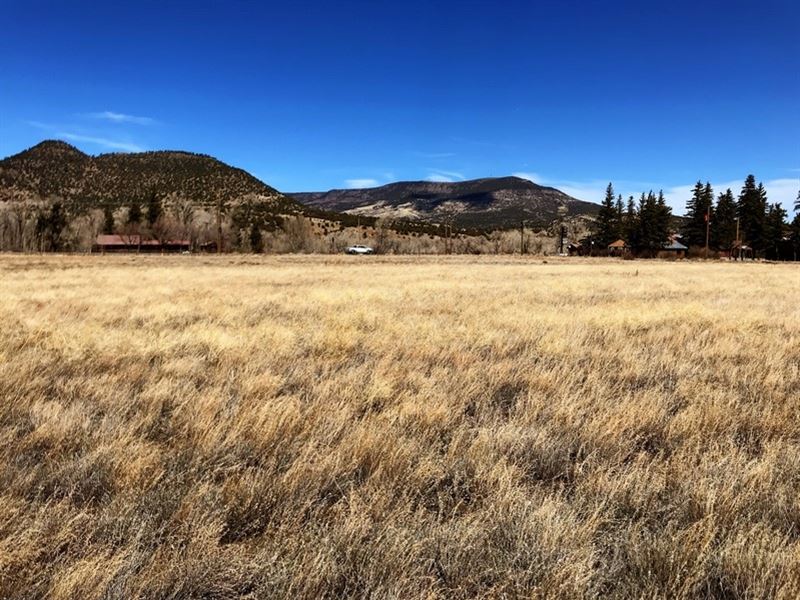 Commercial Mall Tract Lot 2 : South Fork : Rio Grande County : Colorado
