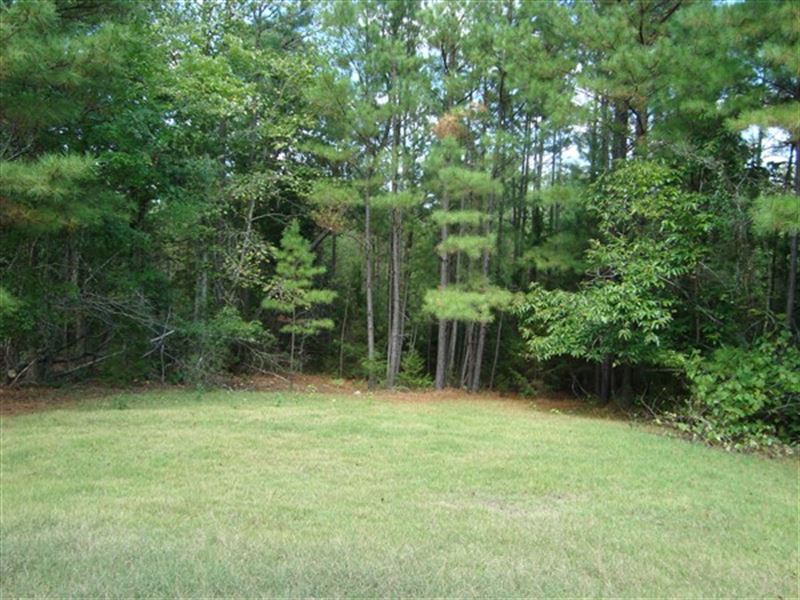 6 Acres - Fairfield County, Sc : Jenkinsville : Fairfield County : South Carolina