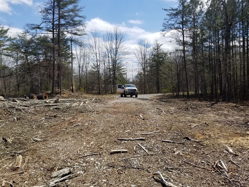 5 +/Acres Unrestricted, Lot for Sale in Tennessee, 146960 LOTFLIP