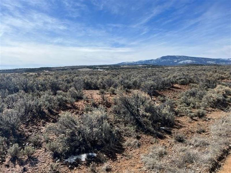 Rancho Del Vado Lot 288 : Tierra Amarilla : Rio Arriba County : New Mexico