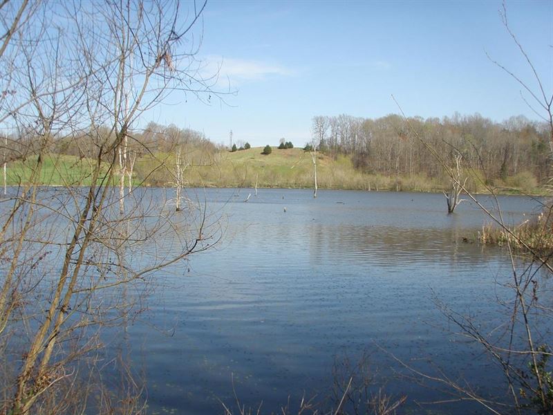 Private Fishing Hole : Meherrin : Prince Edward County : Virginia