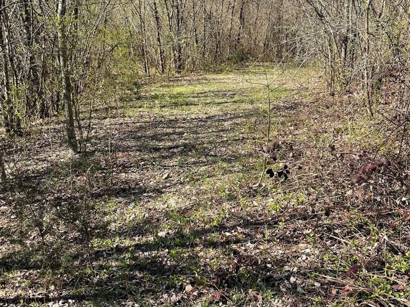 26 Acres of Hunting Land, Buildi : Batesville : Independence County : Arkansas
