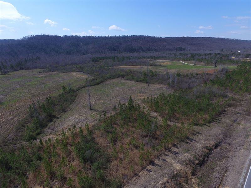 Mini Farm - 6.88 Acres : Ashville : Saint Clair County : Alabama