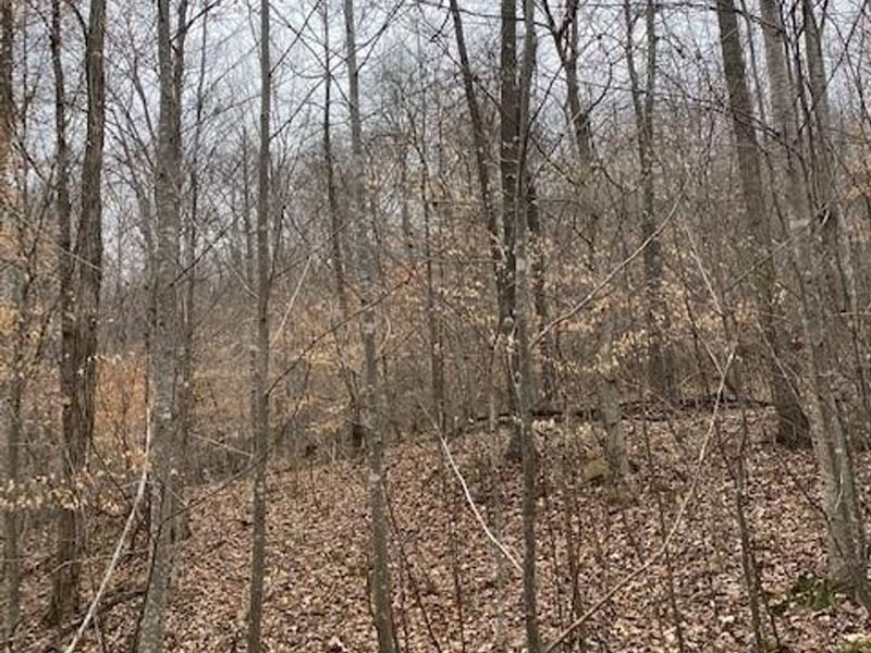 5.76 Acres with Views : Decatur : Meigs County : Tennessee