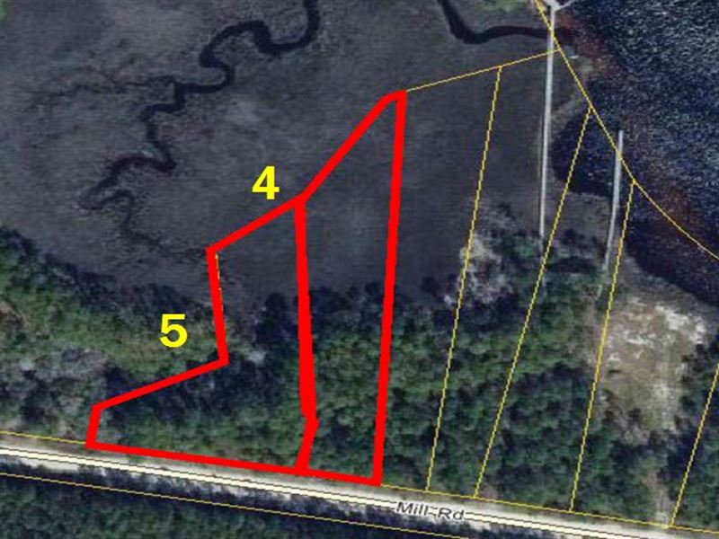 New River Paradise Lots 4 & 5 : Carrabelle : Franklin County : Florida