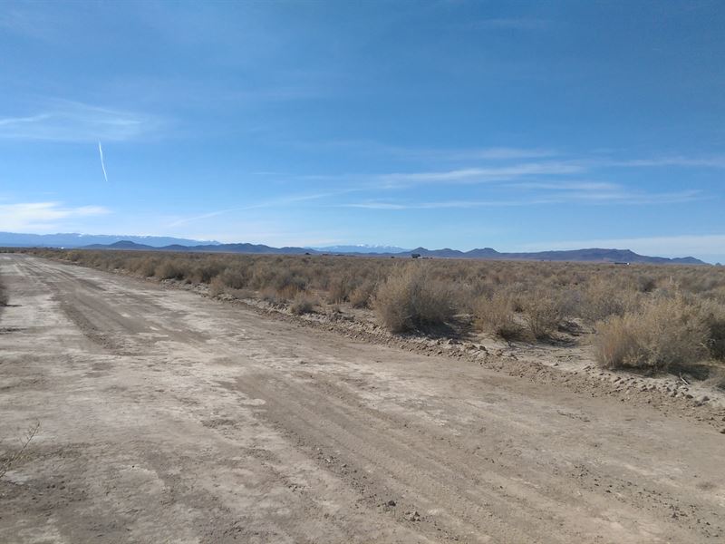5 Acres Near Fort Garland & Blanca : Blanca : Costilla County : Colorado