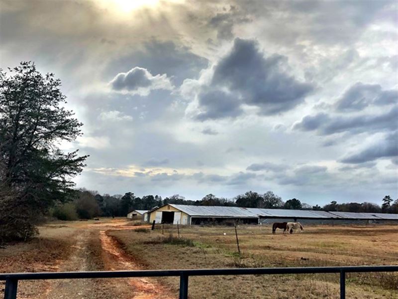 Houston County Mini Farm : Perry : Houston County : Georgia