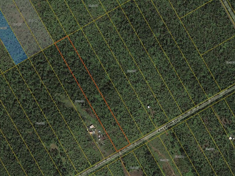3 Ac, Fern Forest Vacation Est, HI : Pahoa : Hawaii County : Hawaii