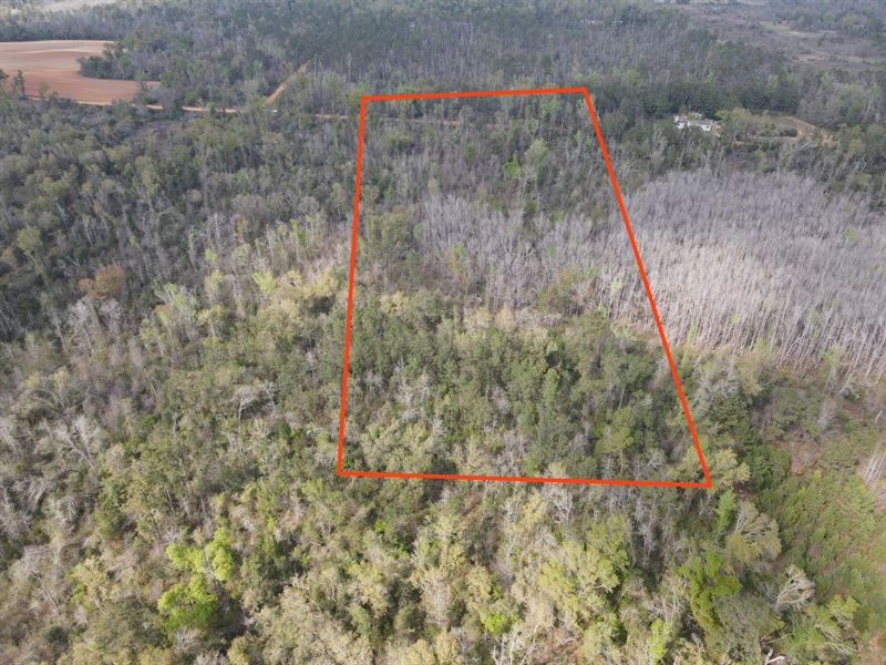 Lovewood 10 Acres : Cottondale : Jackson County : Florida