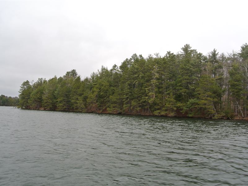 Big Ripley Island Acreage : Minocqua : Oneida County : Wisconsin