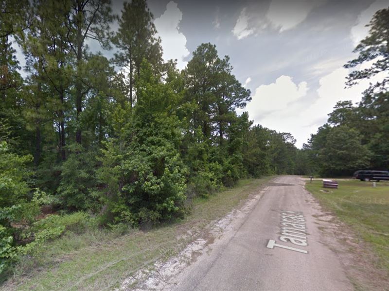 .18 Acres in Brookeland, TX, Lot for Sale by Owner in Texas, 149852