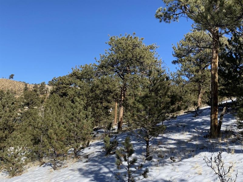 Elk Horn Retreat : Hartsel : Park County : Colorado