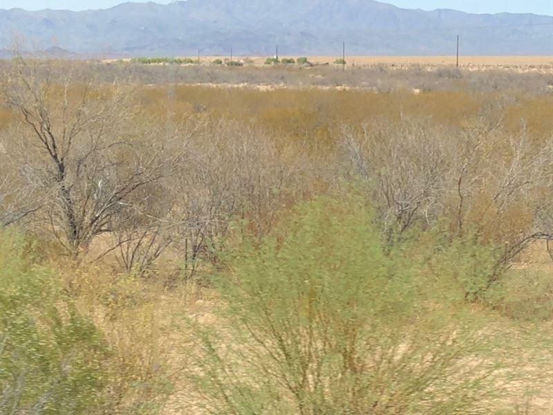 1.14 Acres in Sanders, AZ : Sanders : Apache County : Arizona