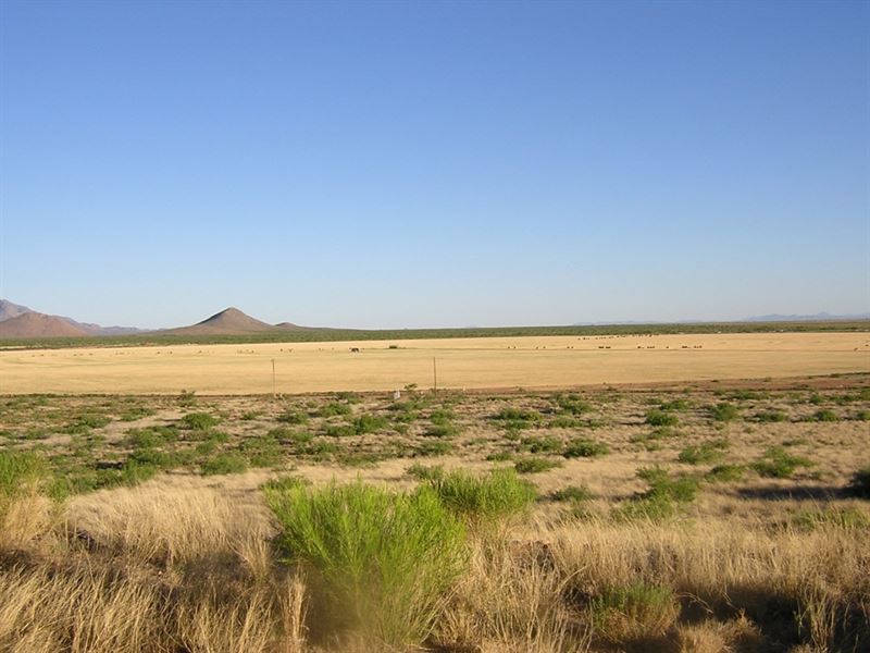 1.09 Acres in Sanders, AZ : Sanders : Apache County : Arizona