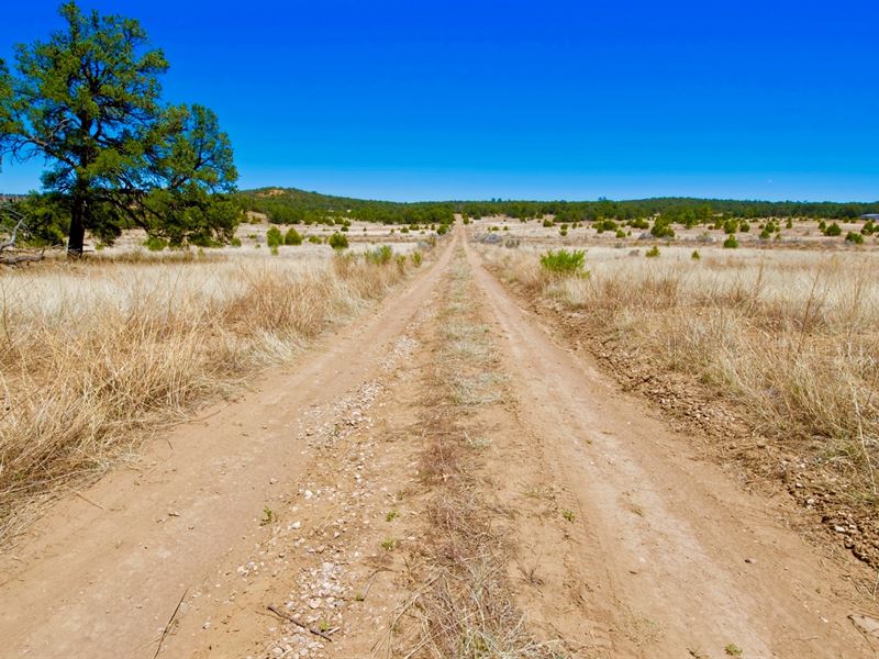 Lot W Electricity & Road Frontage : Ramah : Cibola County : New Mexico