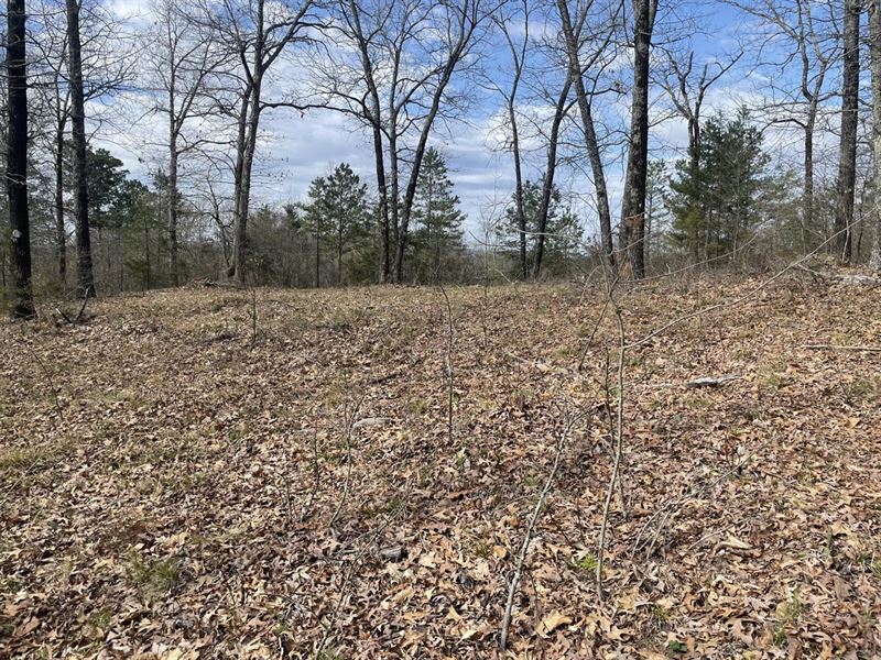 3.1 Acres, Melbourne, Arkansas : Melbourne : Izard County : Arkansas