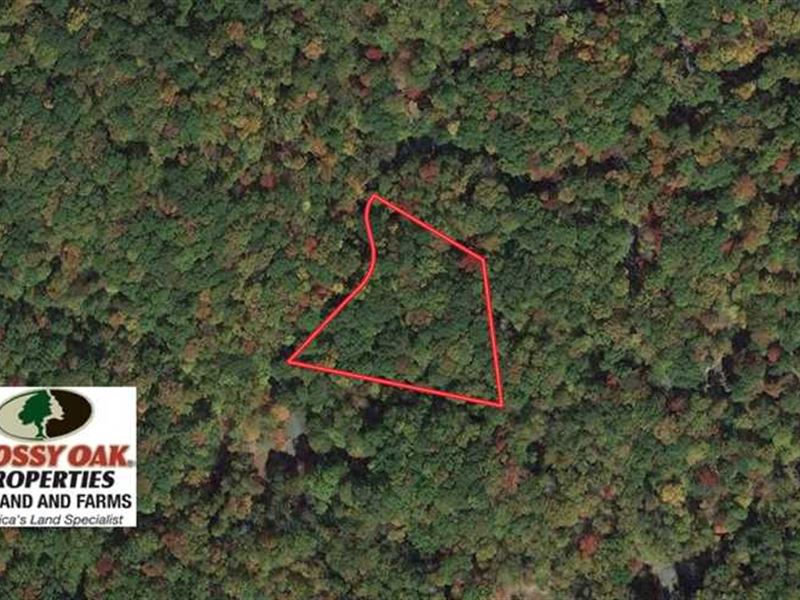 Reduced, 1.7 Acres of Residential : Burnsville : Yancey County : North Carolina
