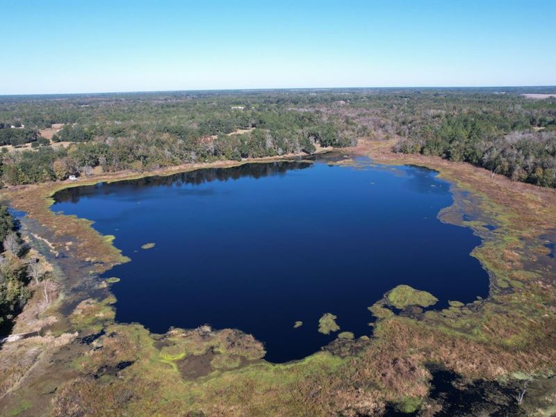 Blue Oak Lane : Jennings : Hamilton County : Florida