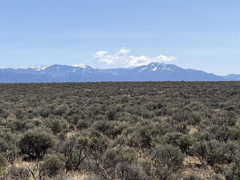 Cielo Grande : Tres Piedras : Taos County : New Mexico