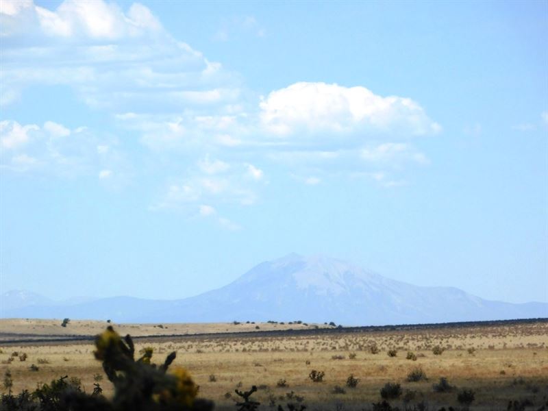 Five Acres in Las Animas : Model : Las Animas County : Colorado