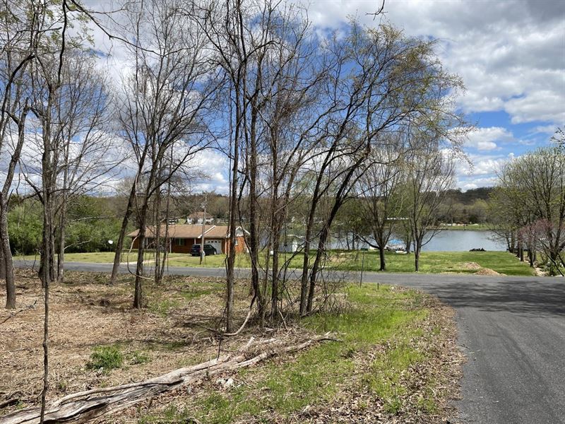 Cleared Lot, Lake View, Horseshoe : Horseshoe Bend : Izard County : Arkansas