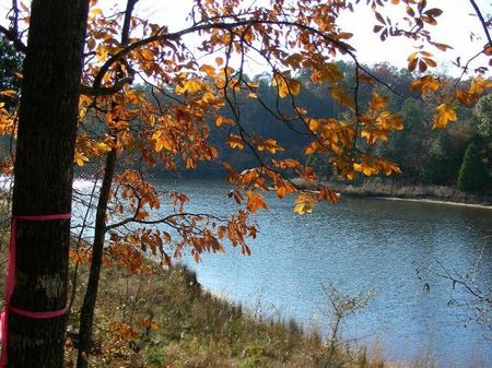 Lake Russell Lots : Iva : Abbeville County : South Carolina