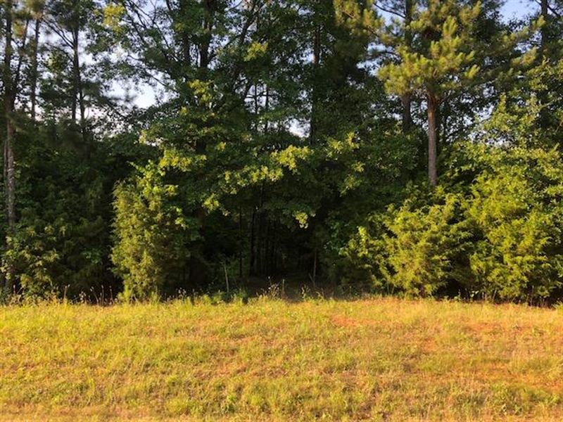 Davis Academy Rd : Rutledge : Morgan County : Georgia