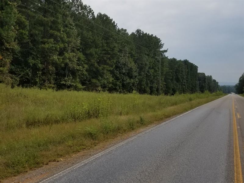 Coosa Pines Tract : Childersburg : Talladega County : Alabama