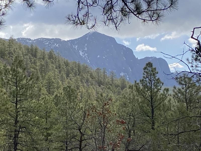 Saddle Ridge 4 : Chama : Rio Arriba County : New Mexico