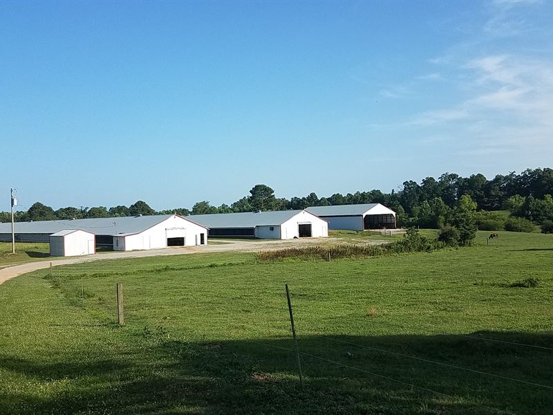 Diamond S Farm Two House Breeder : Arley : Winston County : Alabama
