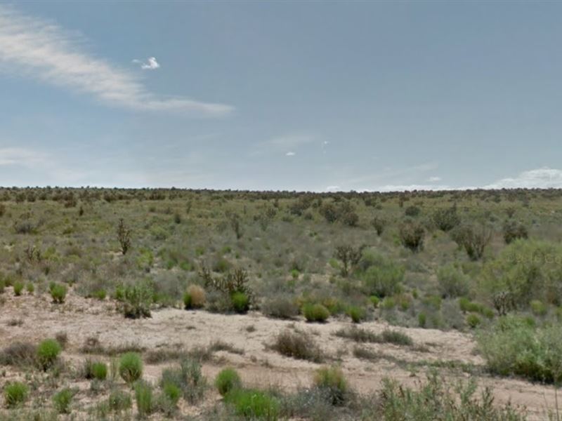 Sandoval County, Nm $35,000 Neg : Rio Rancho : Sandoval County : New Mexico