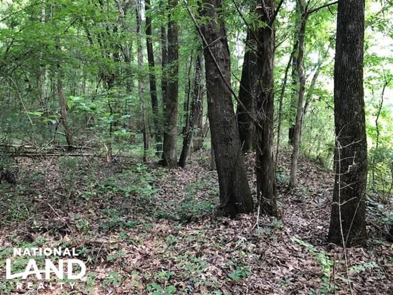 20 Acres Hunting & Timber Tract Nea : Grenada : Grenada County : Mississippi