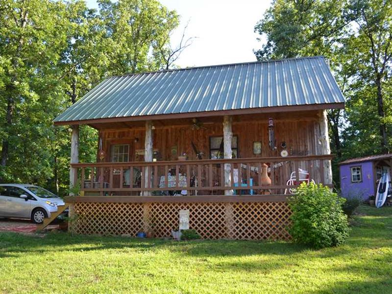 10 Surveyed Acres & Rustic Cabin : Saint Joe : Searcy County : Arkansas