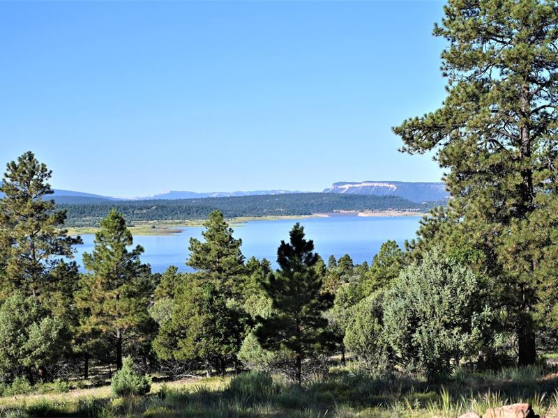 Canyon Dr Lot : Rutheron : Rio Arriba County : New Mexico