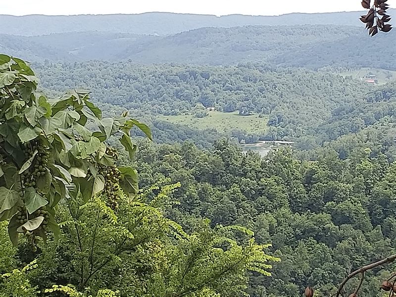 Norris Lake View Lot, Lake Access : New Tazewell : Claiborne County : Tennessee
