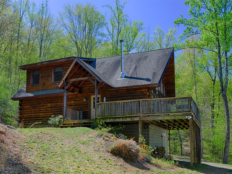 Tree Tops in Nelson County : Shipman : Nelson County : Virginia